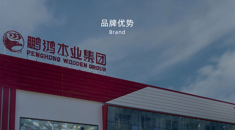 板材品牌、全屋定制品牌、生態(tài)板十大品牌