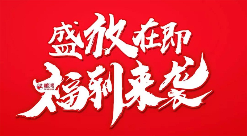 再拓疆域！鵬鴻We+定制&紅星美凱龍聯(lián)袂亮相烏魯木齊