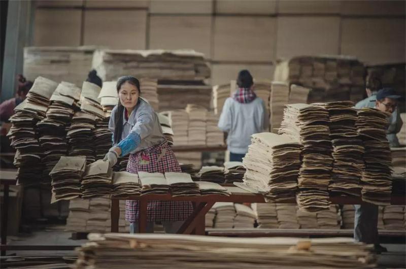 鵬鴻之造——鵬鴻22周年特別奉獻(xiàn)品質(zhì)篇