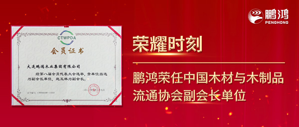 再獲行業(yè)肯定，鵬鴻榮任中國木材與木制品流通協(xié)會副會長