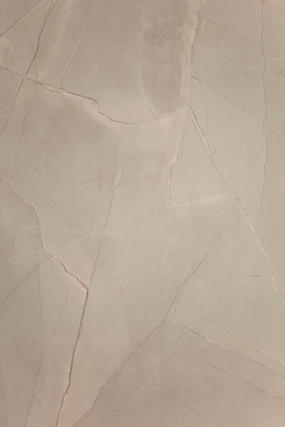 2021板材新花色——霜風(fēng)雪巖