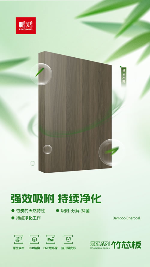 竹炭家裝板材